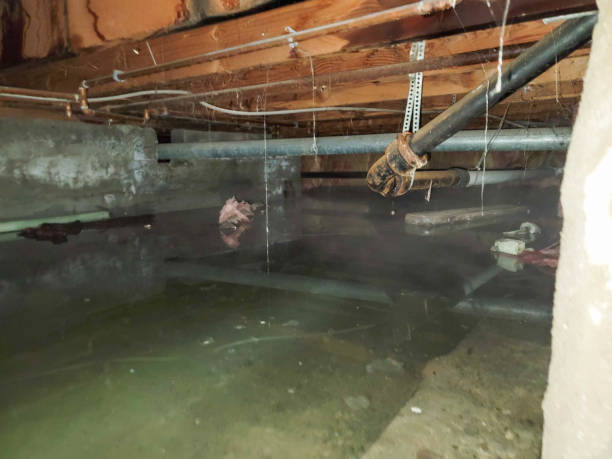 Best Water damage restoration near me  in Greenfield, IA