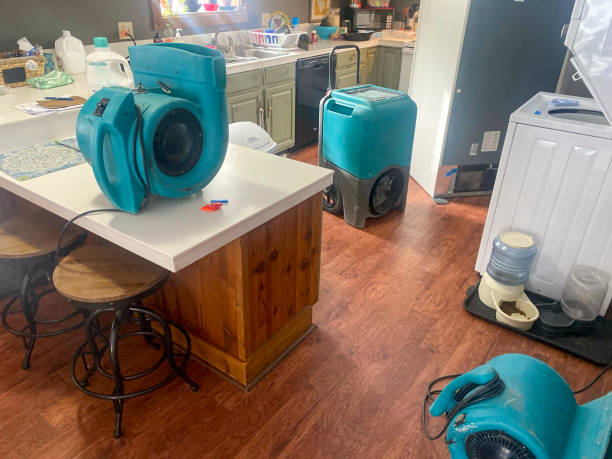 Best 24-hour water damage restoration  in Greenfield, IA
