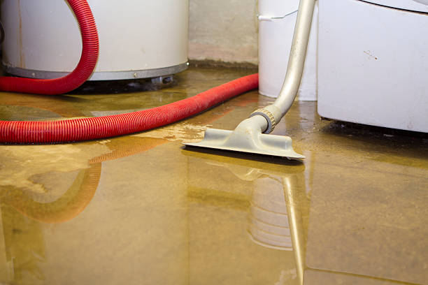 Best Professional water damage repair  in Greenfield, IA