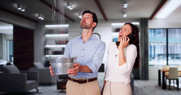 Trusted Greenfield, IA Water damage restoration Experts