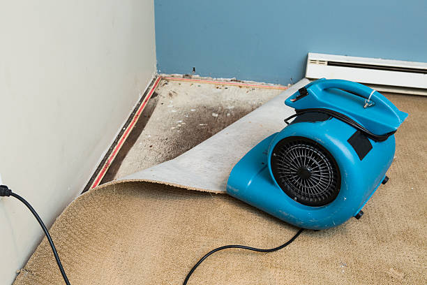 Best Flooded house restoration  in Greenfield, IA